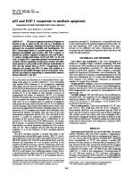 p53 and E2F-1 cooperate to mediate apoptosis