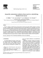 Anaerobic ammonium oxidation discovered in a denitrifying fluidized bed reactor