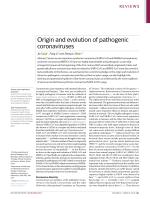 Origin and evolution of pathogenic coronaviruses