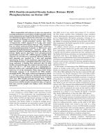 DNA Double-stranded Breaks Induce Histone H2AX Phosphorylation on Serine 139