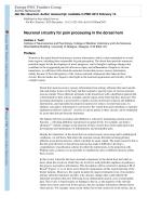 Neuronal circuitry for pain processing in the dorsal horn