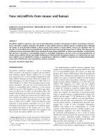 New microRNAs from mouse and human