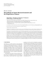 Macrophages in Tumor Microenvironments and the Progression of Tumors