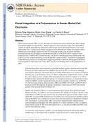 Clonal Integration of a Polyomavirus in Human Merkel Cell Carcinoma