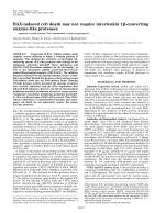 BAX-induced cell death may not require interleukin 1β-converting enzyme-like proteases