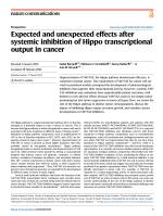 Expected and unexpected effects after systemic inhibition of Hippo transcriptional output in cancer