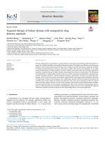 Targeted therapy of kidney disease with nanoparticle drug delivery materials