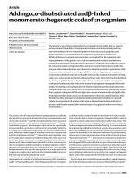 Adding α,α-disubstituted and β-linked monomers to the genetic code of an organism