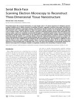 Serial Block-Face Scanning Electron Microscopy to Reconstruct Three-Dimensional Tissue Nanostructure