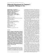 Differential Requirement for Caspase 9 in Apoptotic Pathways In Vivo