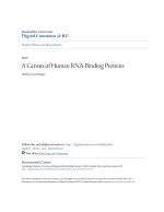 A Census of Human RNA-Binding Proteins AND CHARACTERIZATION OF THE DEDDH RNA EXONUCLEASE NEF-SP IN THE 3' END MATURATION OF 28S RIBOSOMAL RNA