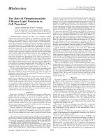 The Role of Phosphoinositide 3-Kinase Lipid Products in Cell Function