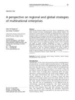 A perspective on regional and global strategies of multinational enterprises