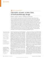 Oncolytic viruses: a new class of immunotherapy drugs