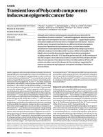 Transient loss of Polycomb components induces an epigenetic cancer fate