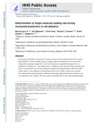 Determination of single molecule loading rate during mechanotransduction in cell adhesion