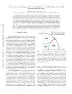 Unconventional topological mixed-state transition and critical phase induced by self-dual coherent errors