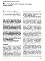 Mechanism of activation of protein kinase B by insulin and IGF-1