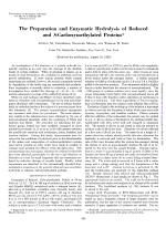 The Preparation and Enzymatic Hydrolysis of Reduced and S-Carboxymethylated Proteins