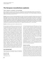 The European mesothelioma epidemic
