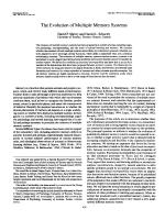The Evolution of Multiple Memory Systems