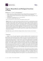 Lignins: Biosynthesis and Biological Functions in Plants