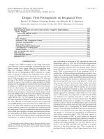 Dengue Virus Pathogenesis: an Integrated View