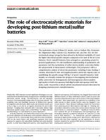 The role of electrocatalytic materials for developing post-lithium metal||sulfur batteries