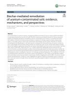 Biochar-mediated remediation of uranium-contaminated soils: evidence, mechanisms, and perspectives