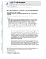 Sphingolipids and their metabolism in physiology and disease