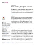 Molecular effects of polystyrene nanoplastics on human neural stem cells