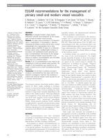 EULAR recommendations for the management of primary small and medium vessel vasculitis
