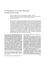 The Distribution of Tau in the Mammalian Central Nervous System