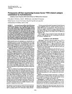 Permanent cell line expressing human factor VIII-related antigen established by hybridization