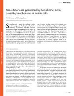 Stress fibers are generated by two distinct actin assembly mechanisms in motile cells