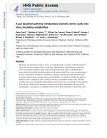 A gut bacterial pathway metabolizes aromatic amino acids into nine circulating metabolites