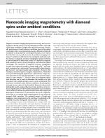 Nanoscale imaging magnetometry with diamond spins under ambient conditions