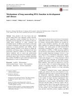 Mechanisms of long noncoding RNA function in development and disease