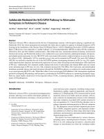 Salidroside Mediated the Nrf2/GPX4 Pathway to Attenuates Ferroptosis in Parkinson’s Disease