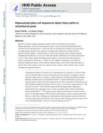 Hippocampal place cell sequences depict future paths to remembered goals