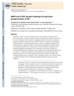 AMPK and mTOR regulate autophagy through direct phosphorylation of Ulk1
