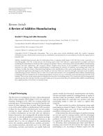 A Review of Additive Manufacturing