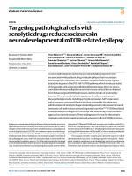 Targeting pathological cells with senolytic drugs reduces seizures in neurodevelopmental mTOR-related epilepsy