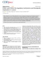 FOXA1 and FOXA2: the regulatory mechanisms and therapeutic implications in cancer