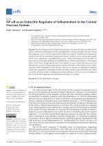 NF-κB as an Inducible Regulator of Inflammation in the Central Nervous System