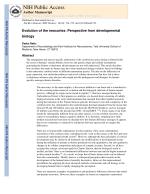 Evolution of the neocortex: Perspective from developmental biology