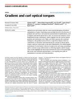 Gradient and curl optical torques