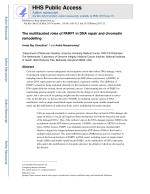 The multifaceted roles of PARP1 in DNA repair and chromatin remodelling
