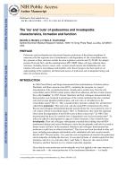 The 'ins' and 'outs' of podosomes and invadopodia: characteristics, formation and function