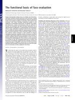 The functional basis of face evaluation